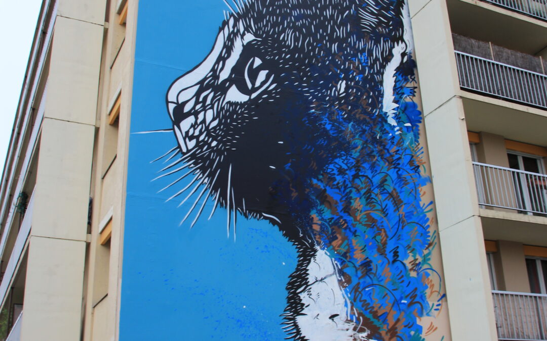 C215 – Le Chat