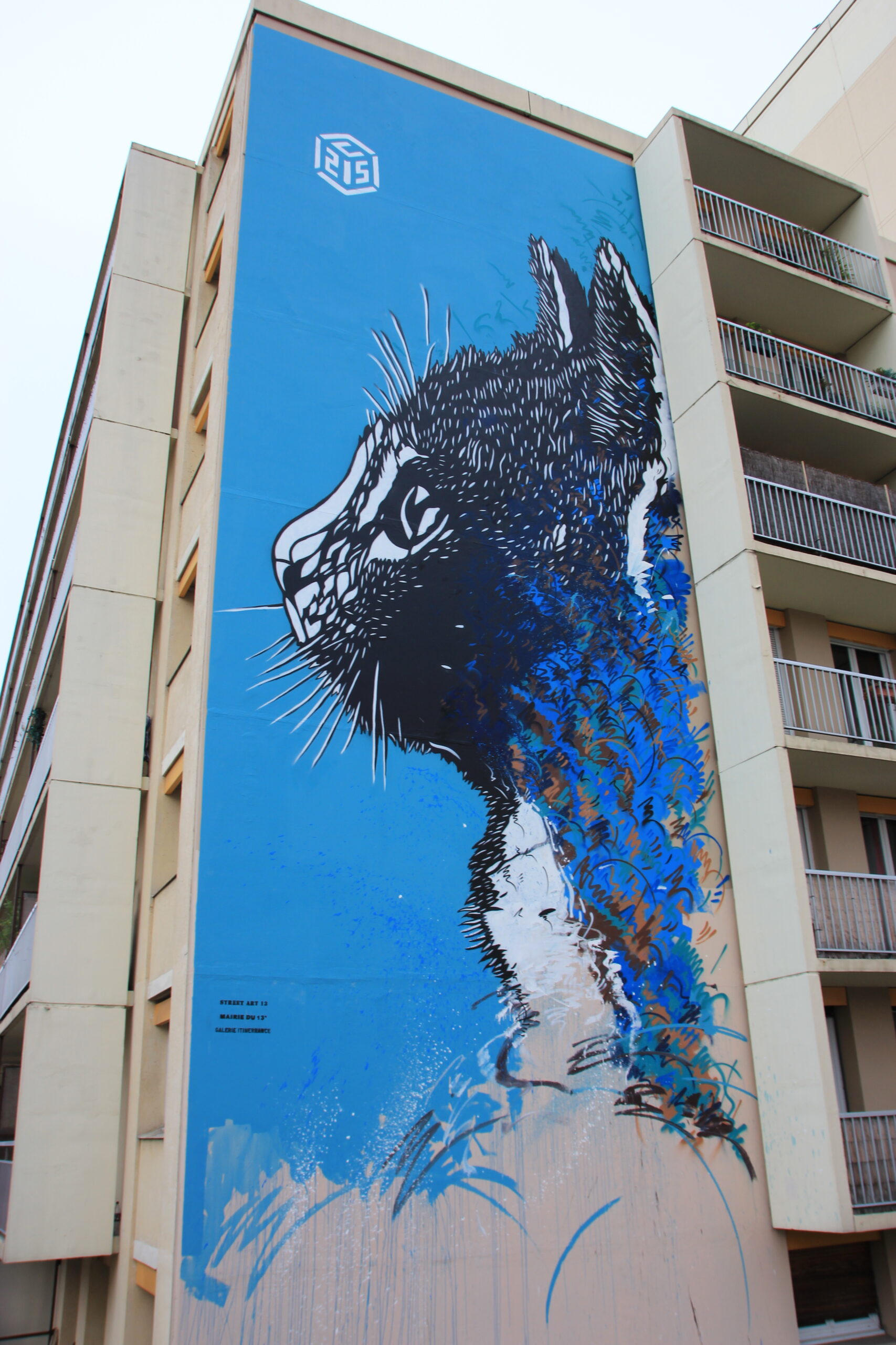 C215 - Le Chat - Boulevard Paris 13